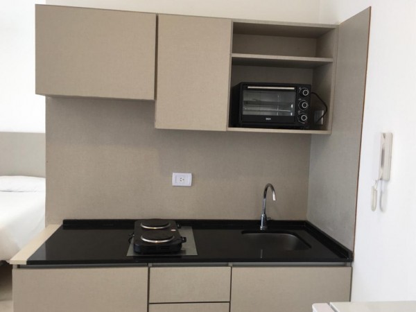 Departamento Amoblado en Congreso - Mitre Mono Grande -