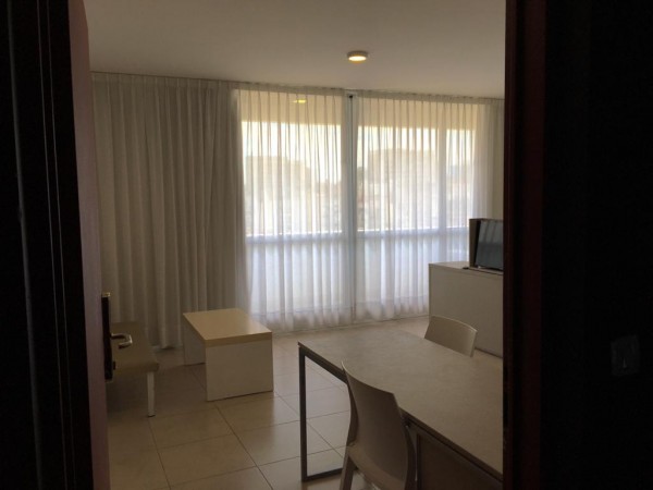 Departamento Amoblado en Congreso - Mitre Mono Grande -